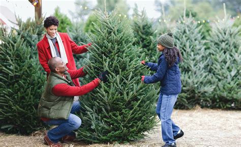 home depot christmas tree lot|home depot christmas tree real.